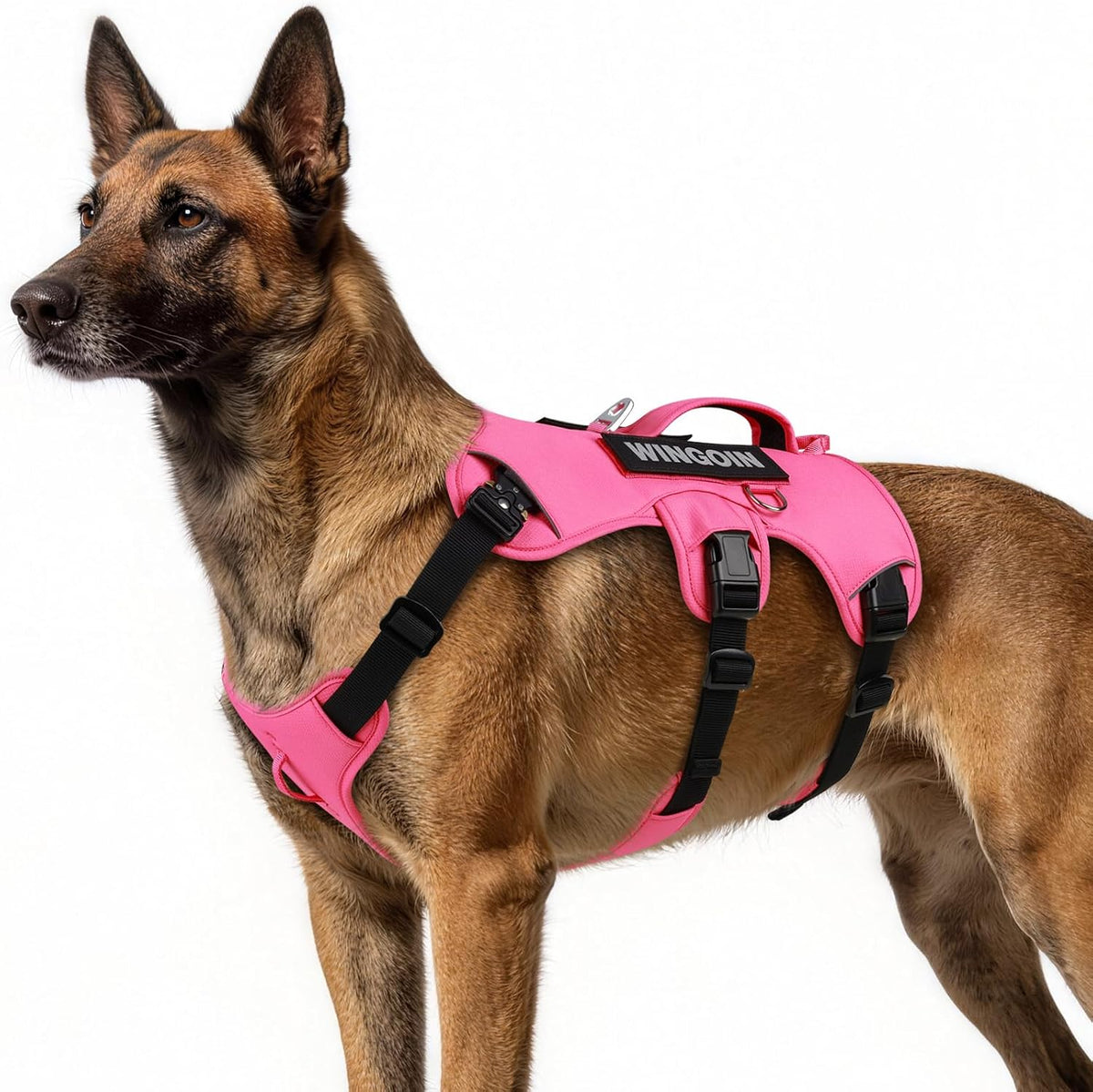 WINGOIN Tactical Dog Harness for Large Dogs,No Pull Heavy Duty Dog Harness