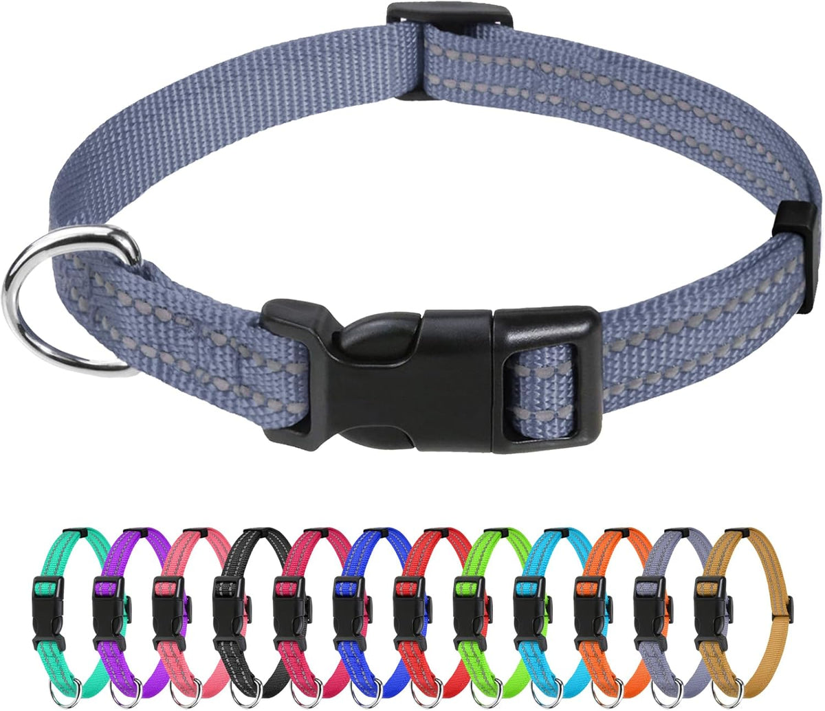 TagME Small Dog Collar, Reflective Puppy Collar, Sky Blue, 3/8" Width