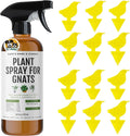 Kate's Home & Garden Plant Spray for Insects & Gnats, 12 Sticky Traps, 16oz