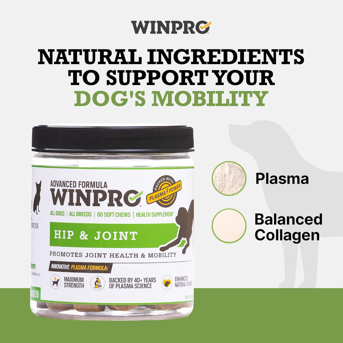 WINPRO Hip & Joint Supplement for Dogs - Plasma Powered Soft Chews for Joint Health & Mobility – Fast-Acting with Collagen & Natural Ingredients for Dogs of All Breeds – 60 Chews
