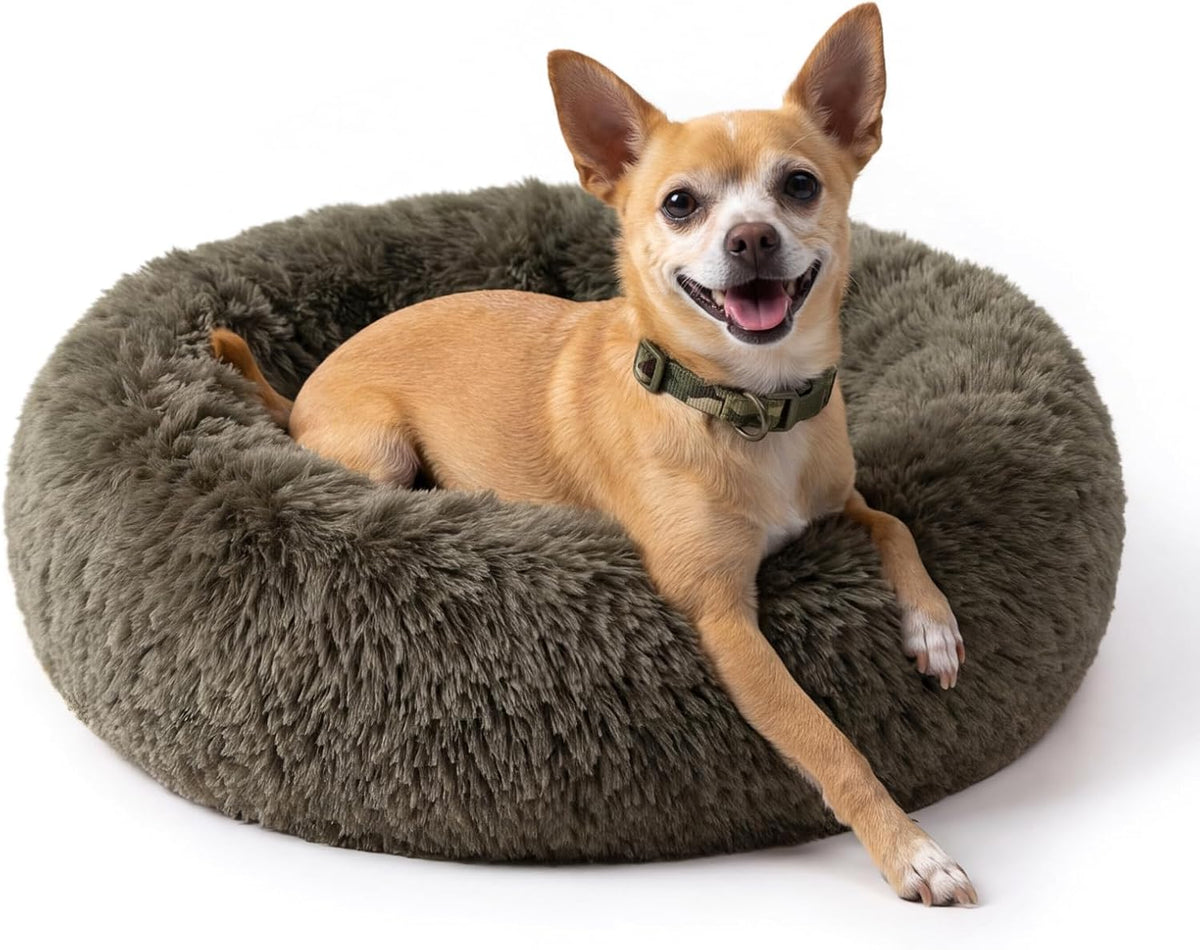 Small Calming Dogs Bed for Small Dogs Anti-Anxiety Machine Washable Fluffy Luxury Anti-Slip Waterproof Mute Base Warming Cozy Soft Pet Puppy Round Bed