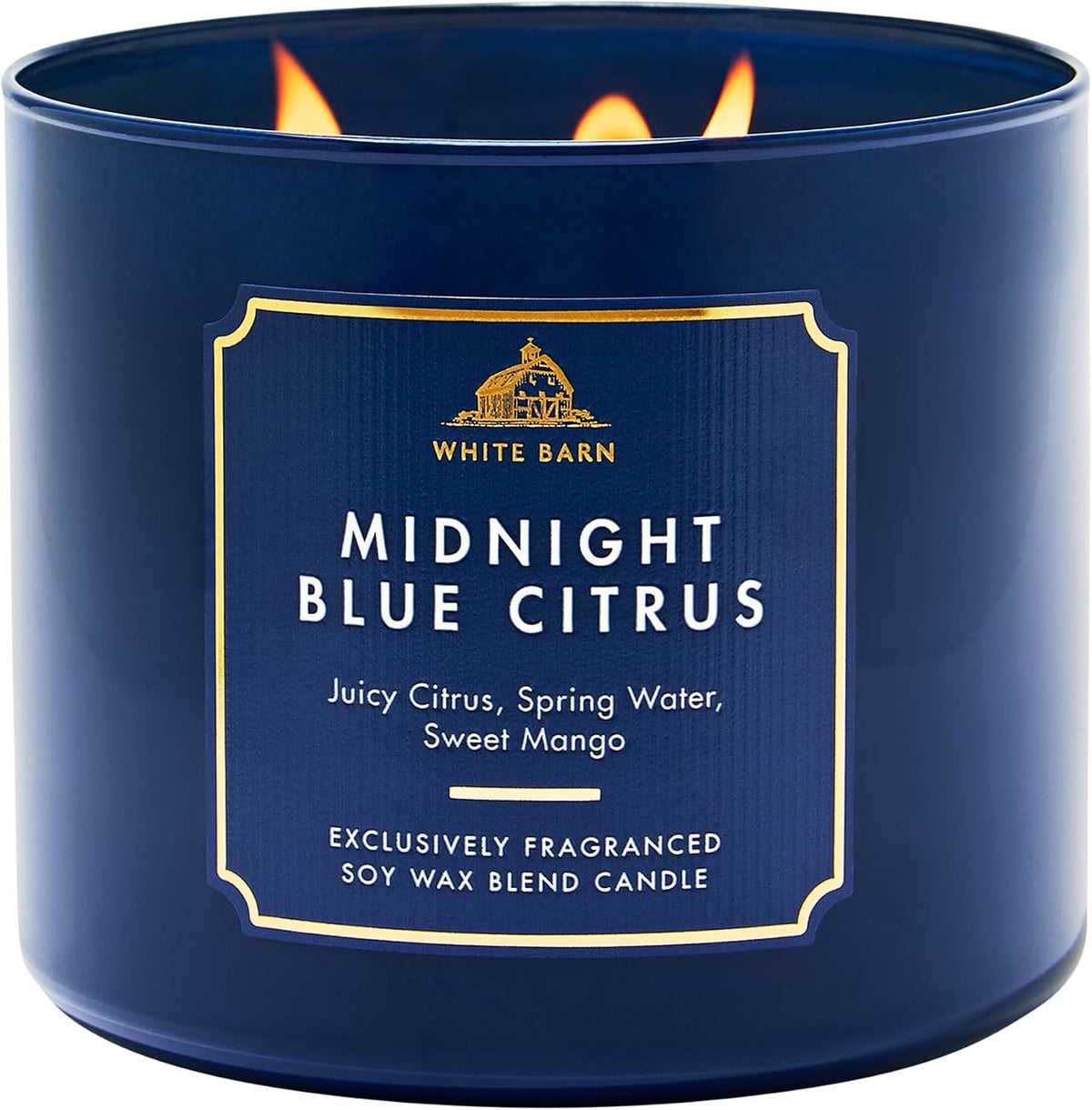 Bath & Body Works Eucalyptus Spearmint 3-Wick Candle - Scented Candle for At-Home Use - Long-Lasting, Room-Filling Fragrance - High Fragrance Oil Concentration - Soy Wax Blend