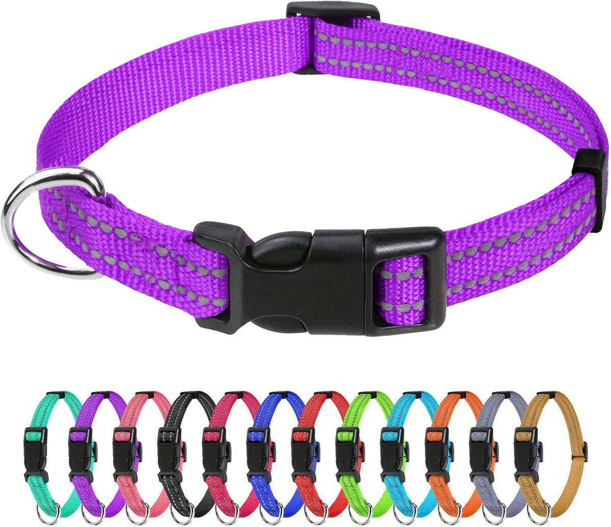 TagME Small Dog Collar, Reflective Puppy Collar, Sky Blue, 3/8" Width