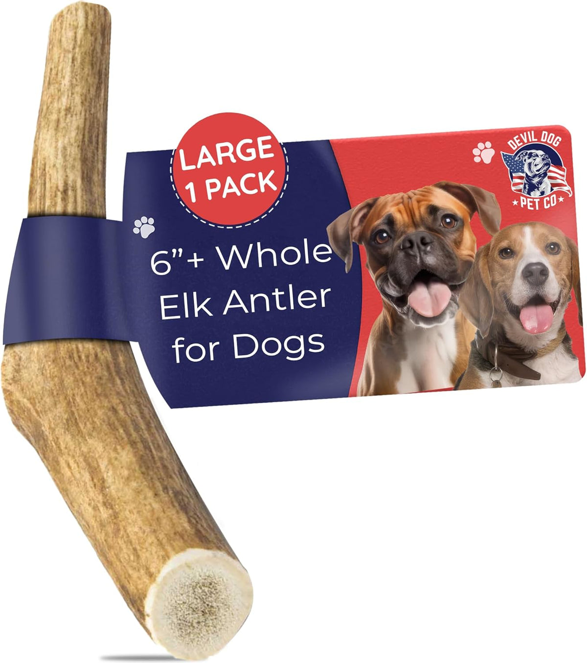 Devil Dog Pet Co Whole Elk Antlers for Dogs, Medium, Aggressive Chewers | Naturally shed Grade A Rocky Mountain elk antler, single ingredient, long lasting, 5 in+, fits breeds up to 50 lb