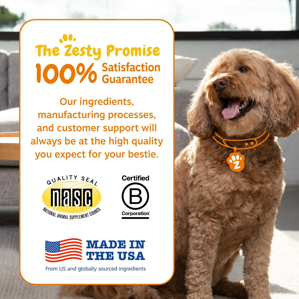 Zesty Paws Probiotics for Dogs - Gut Health for Dogs, Pumpkin, 90 Ct