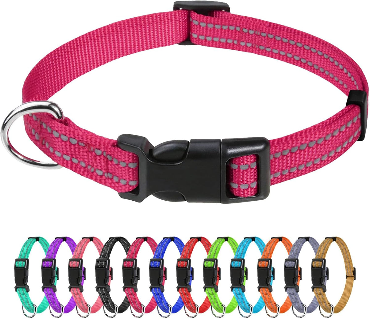 TagME Small Dog Collar, Reflective Puppy Collar, Sky Blue, 3/8" Width