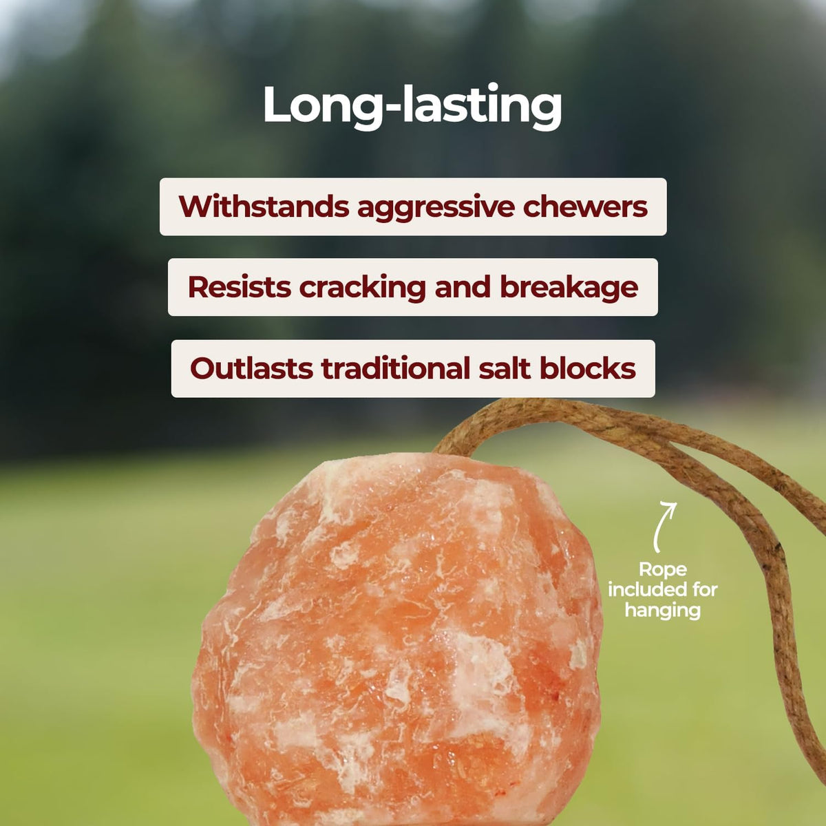 Horsemen's Pride Himalayan Salt Block on Rope for Horses, 4.4 Pounds, SS44