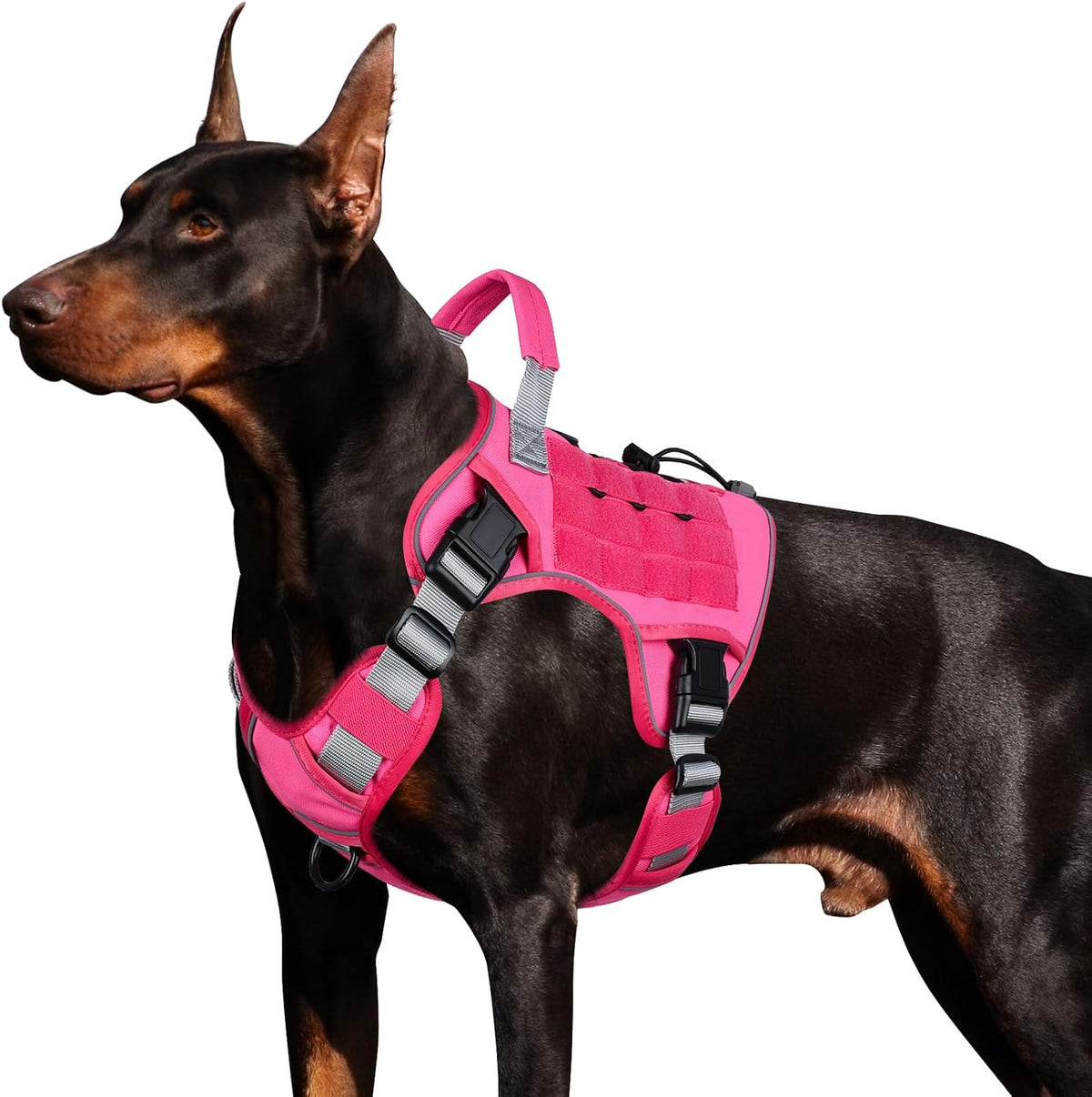 WINGOIN Tactical Dog Harness for Large Dogs,No Pull Heavy Duty Dog Harness