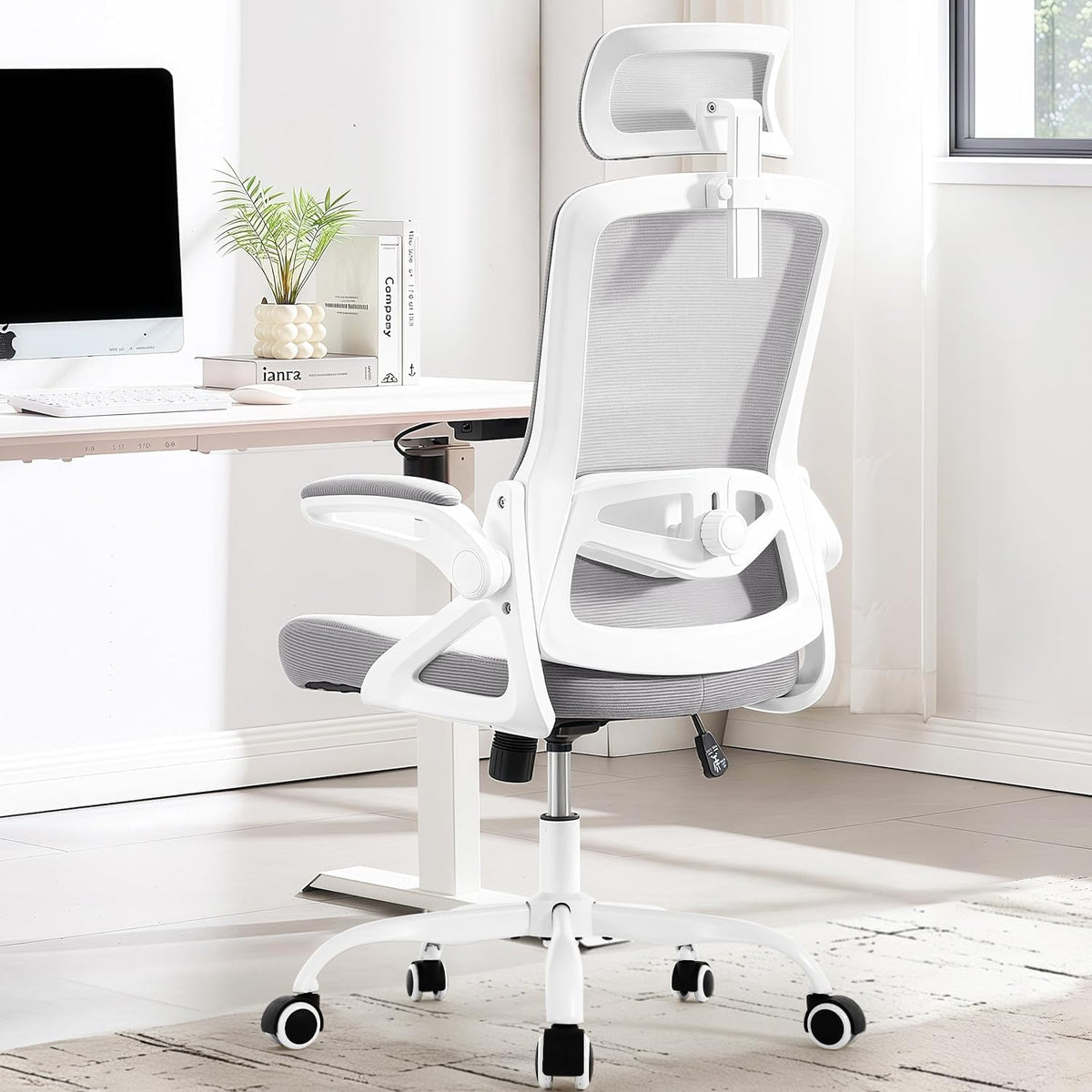 Fizzin Office Chair Mesh Computer Chairs with Adjustable Lumbar Support
