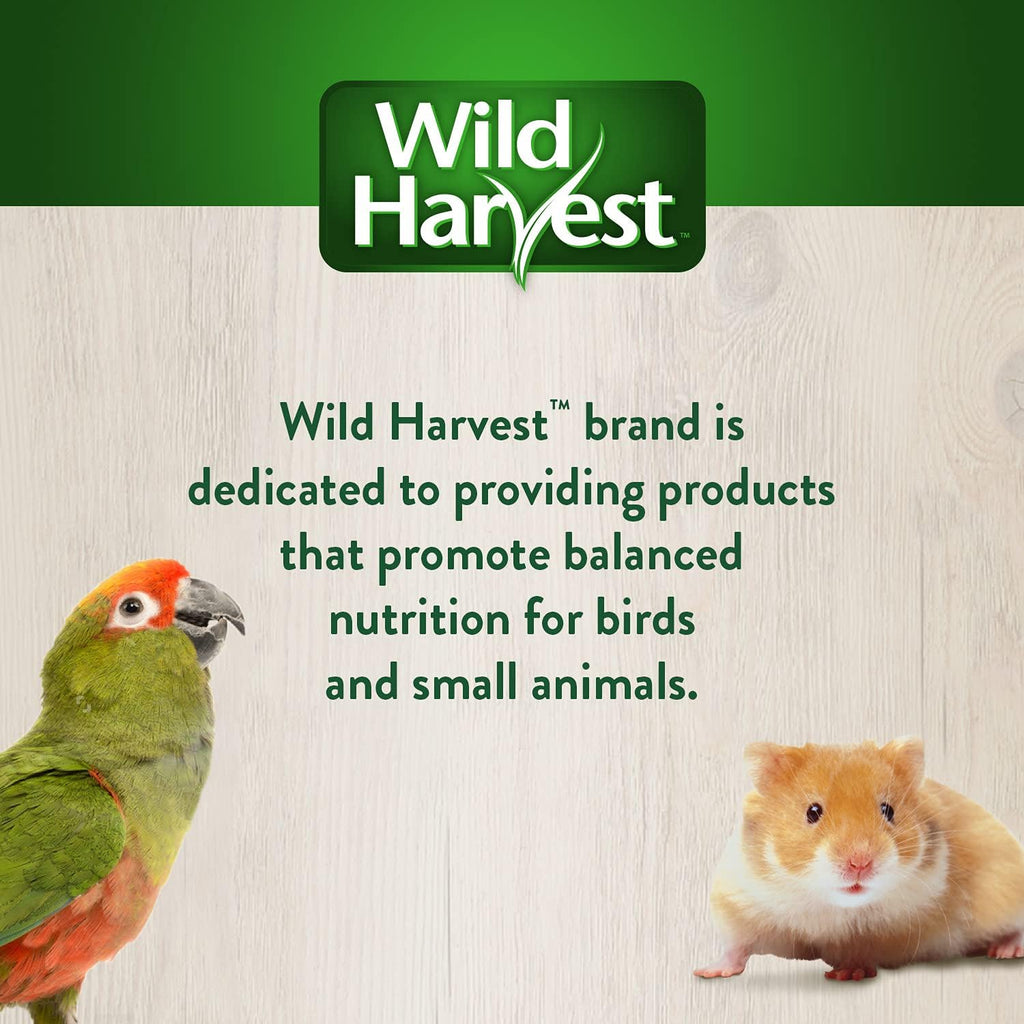 Wild Harvest Bake Shop Danishes 2 Ounces, Artificial Cherry Flavored, Treats for Guinea Pigs, Hamsters, Gerbils, Adult Rabbits and More