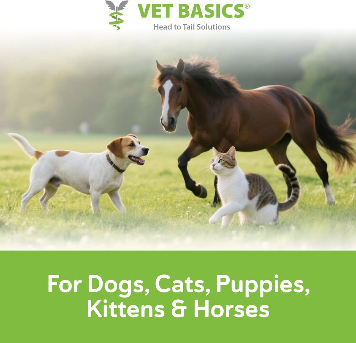 Vet Basics Lime Sulfur Dip – Skin Itch Relief Concentrated Antimicrobial & Antiparasitic Solution for Dogs, Cats, Puppies, Kittens & Horses, Helps Manage Ringworm, Mange, Skin Irritation, 16oz