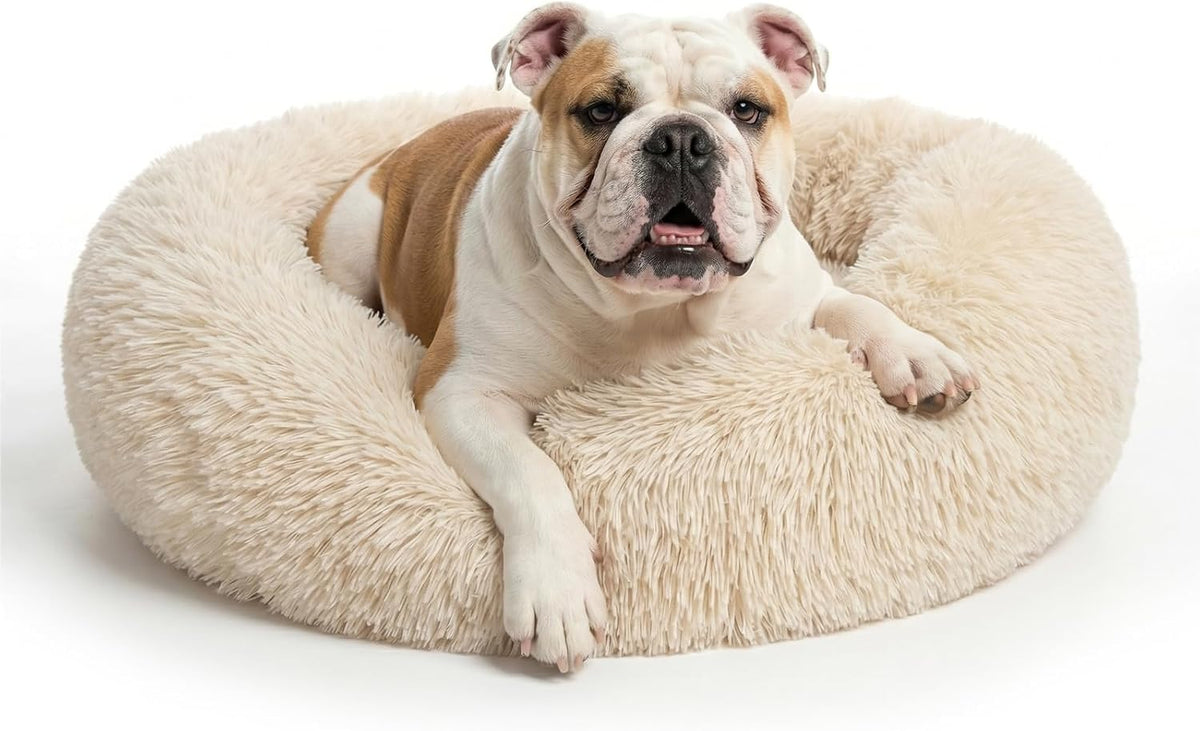 Small Calming Dogs Bed for Small Dogs Anti-Anxiety Machine Washable Fluffy Luxury Anti-Slip Waterproof Mute Base Warming Cozy Soft Pet Puppy Round Bed