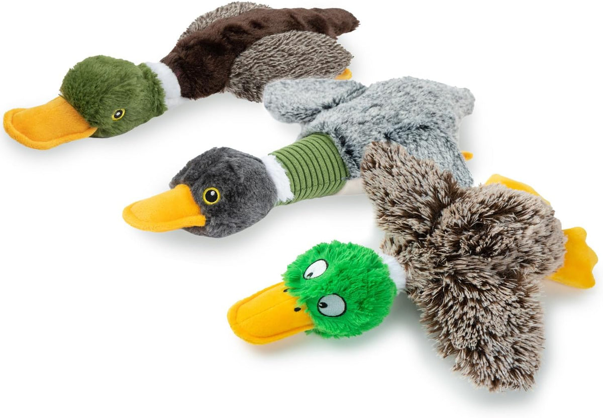 Best Pet Supplies Interactive Squeaky Dog Toy - Crinkle Duck, Blue | Stuffing Free Body, Soft, Squeaks & Crinkles, No Mess, Perfect for Moderate Chewers, Toss and Fetch Play