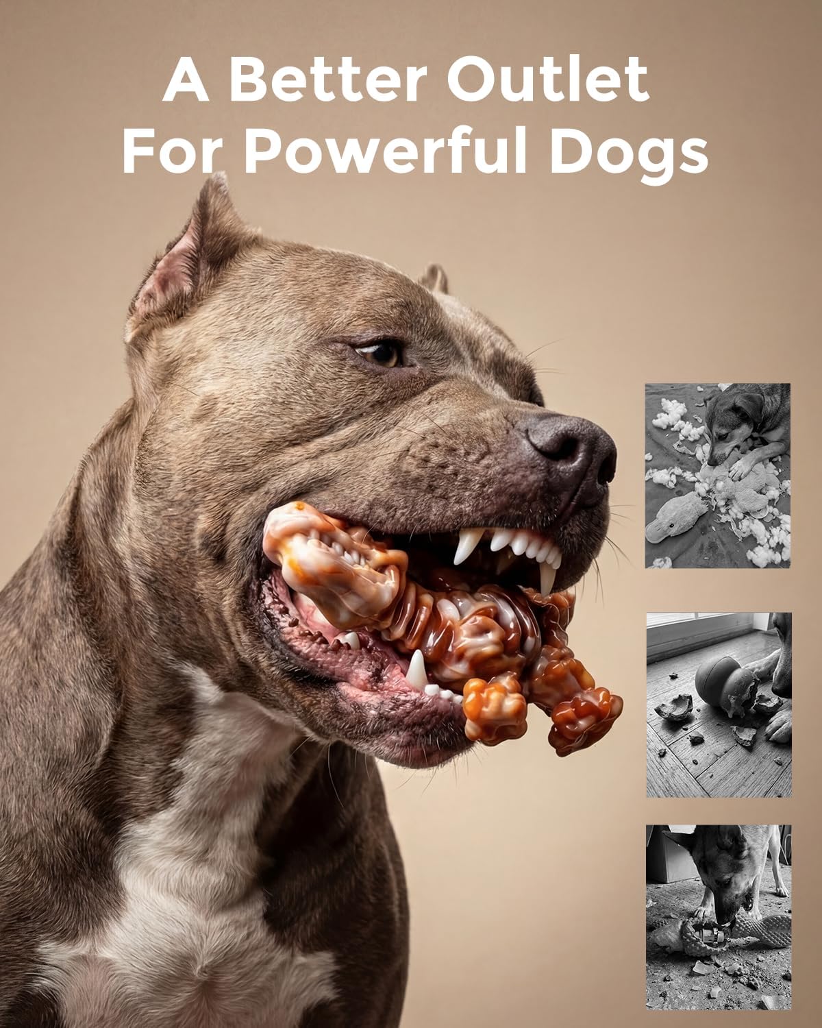 DinoBone 2-Pack Tough Dog Chew Toys for Aggressive Chewers, Rock-Hard Nylon | Bacon Flavor Bones for Large Dogs 20–90 Lb, Designed for Power Chewers and Helps Redirect Destructive Chewing, Amber Color