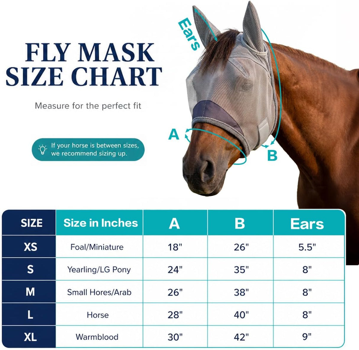 Horse Fly Mask with Ears - UV Protection Fine Mesh Super Comfort Fly Masks for Horses, Adjustable Breathability Horses Masks, Pony Equine Fly Mask for Miniature Foal Draft Cob Srabian Full (Gray, L)