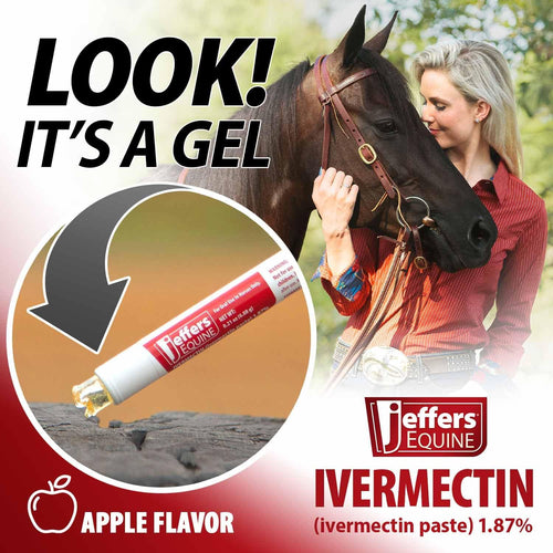 Jeffers 1.87% Ivermectin Gel Dewormer for Horses | Apple Flavored | 1 Pack