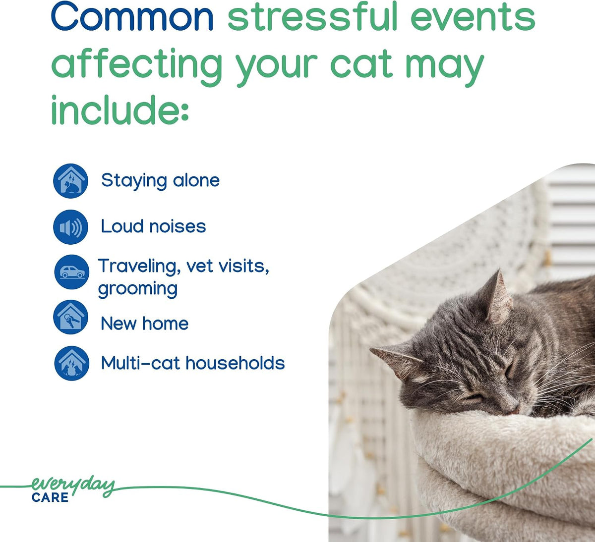 ZENIFEL Gel Diffuser Cat Calming Pheromone|Supports Stress Relief