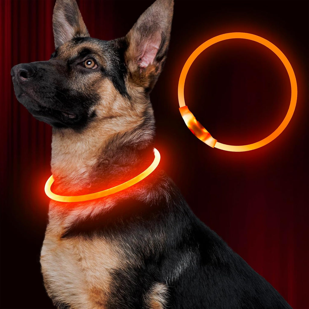 Led Dog Collar, BSEEN USB Rechargeable Flash Light up Dog Collar | Pet Safety Necklace Makes Your Beloved Dogs Be Seen at Night for Small Medium Large Dogs(Green)