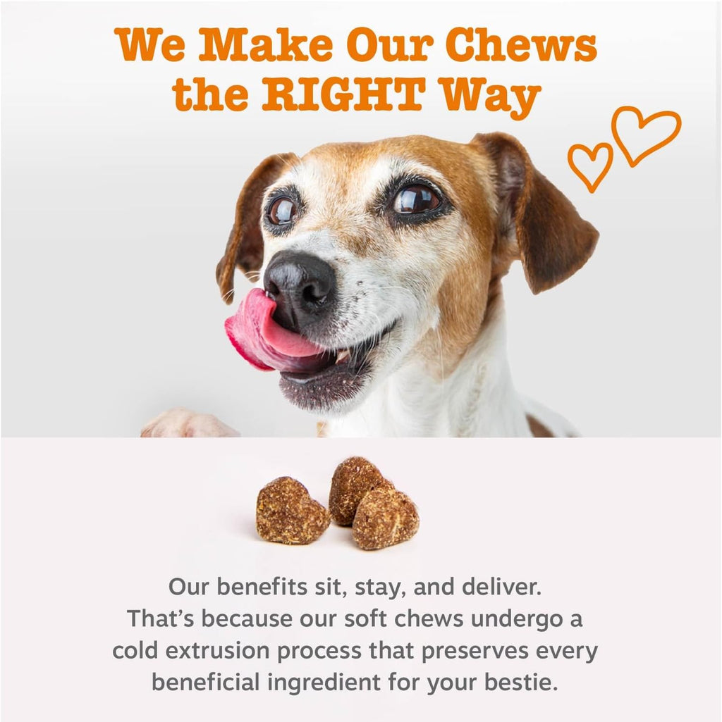 Zesty Paws Probiotics for Dogs - Gut Health for Dogs, Pumpkin, 90 Ct