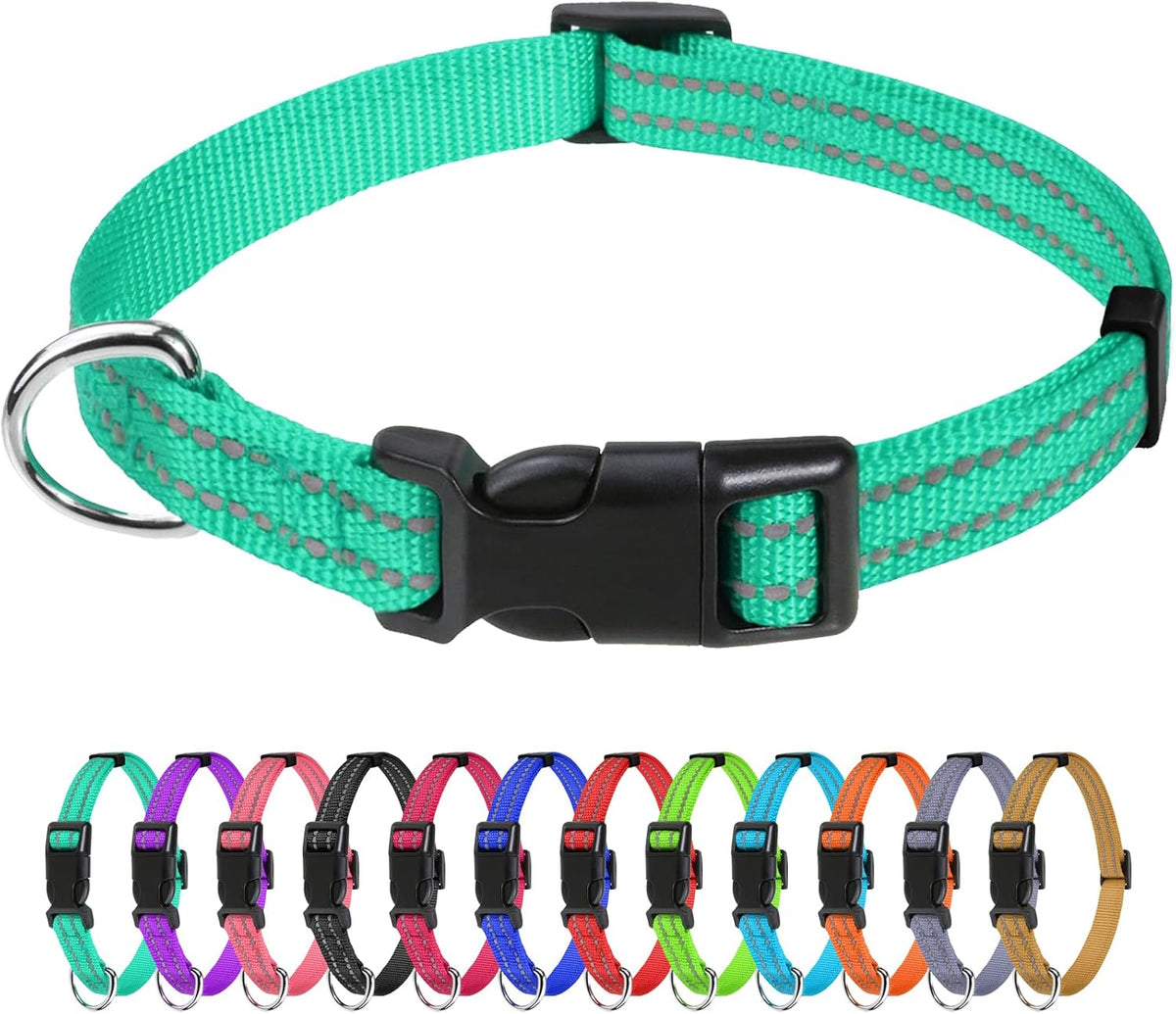 TagME Small Dog Collar, Reflective Puppy Collar, Sky Blue, 3/8" Width