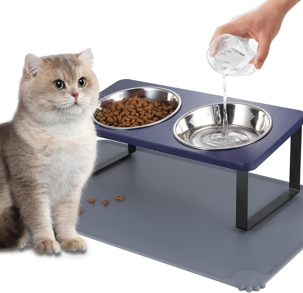 Upgraded Elevated Cat Bowls with Food Mat,15°Tilted Stand Anti Vomiting Raised Cat Dishes for Food and Water,2 Stainless Steel Bowls for Cats and Puppy