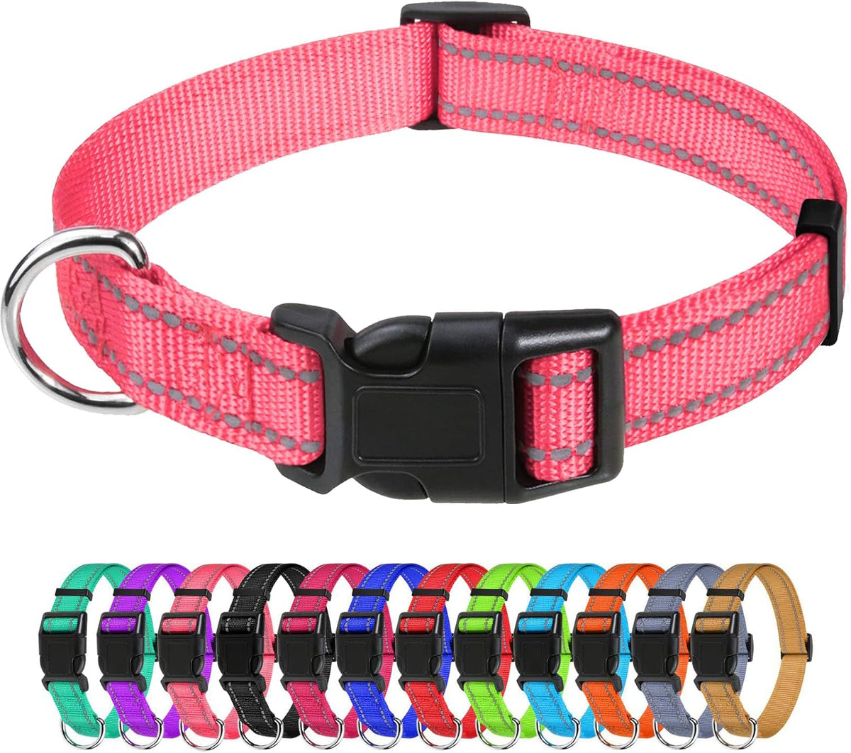 TagME Small Dog Collar, Reflective Puppy Collar, Sky Blue, 3/8" Width