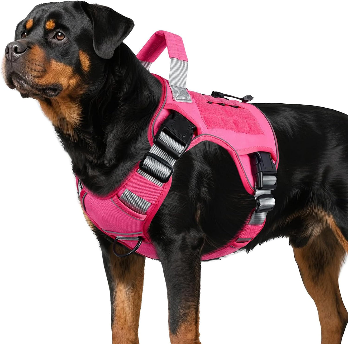 WINGOIN Tactical Dog Harness for Large Dogs,No Pull Heavy Duty Dog Harness