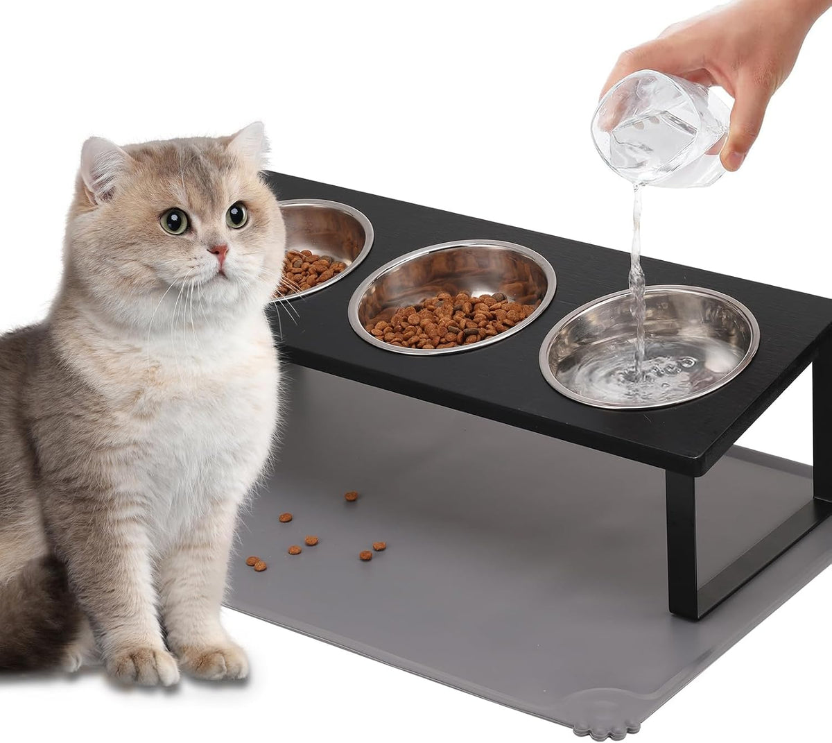 Upgraded Elevated Cat Bowls with Food Mat,15°Tilted Stand Anti Vomiting Raised Cat Dishes for Food and Water,2 Stainless Steel Bowls for Cats and Puppy
