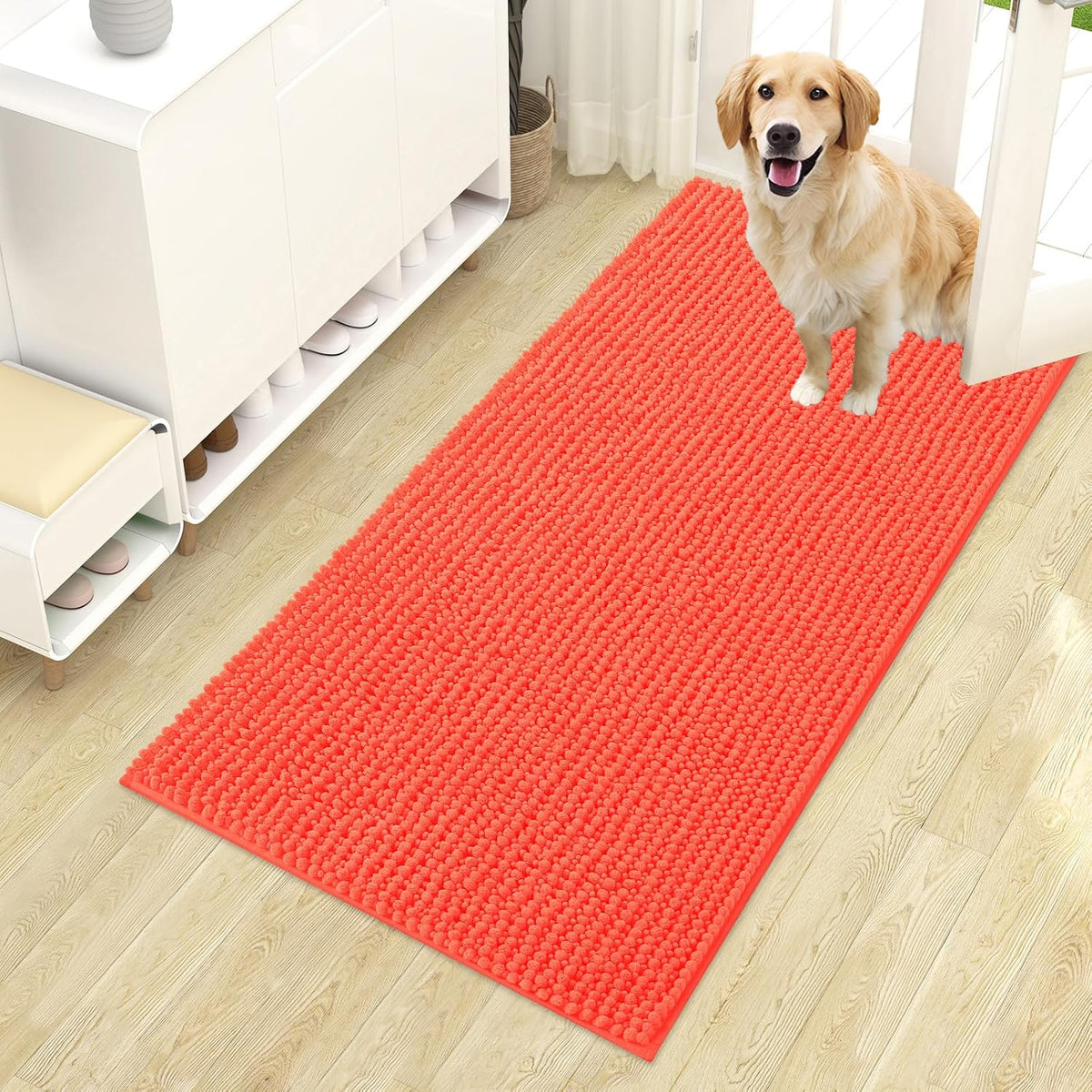 OLANLY Dog Door Mat for Muddy Paws 30x20, Extra Absorbent Chenille Mud Mat
