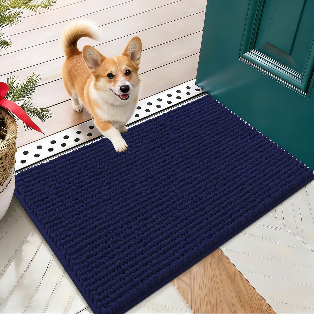 OLANLY Dog Door Mat for Muddy Paws 30x20, Extra Absorbent Chenille Mud Mat