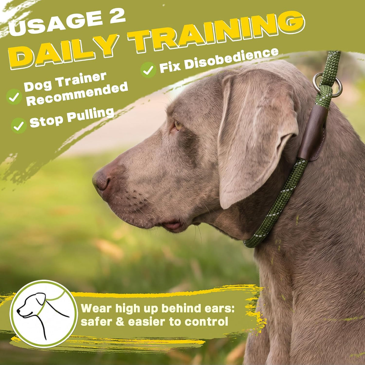 Fida Durable Slip Lead, 6 FT x 1/2" Heavy Duty Loop Leash, Comfortable Strong Rope for Large, Medium Dogs, No Pull Pet Training with Highly Reflective, Green