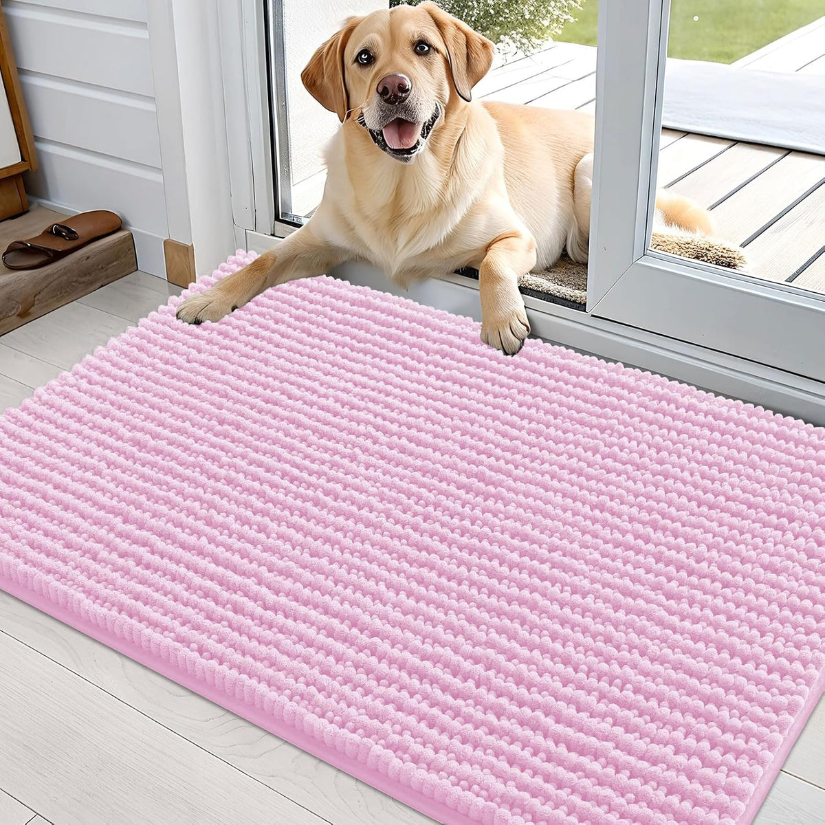 OLANLY Dog Door Mat for Muddy Paws 30x20, Extra Absorbent Chenille Mud Mat