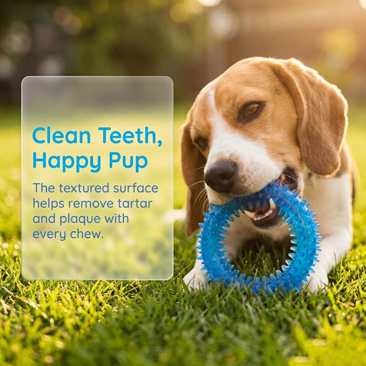 Beiker 20 Pack Puppy Chew Toys, Dog Teething Toys for Puppies Small Dogs | Blue Puppy Teething Rings and Ropes, Rubber Toy Bundle for Puppy Busy, Cute Interactive Pet Balls Bulk for Small Breed