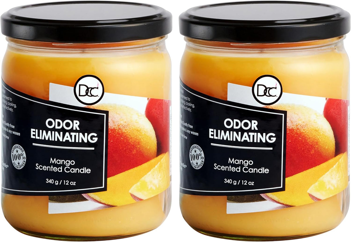Vanilla Bean Odor Eliminating Highly Fragranced Candle - Eliminates 95% of Pet, Smoke, Food, and Other Smells Quickly - Up to 80 Hour Burn time - 12 Ounce Premium Soy Blend