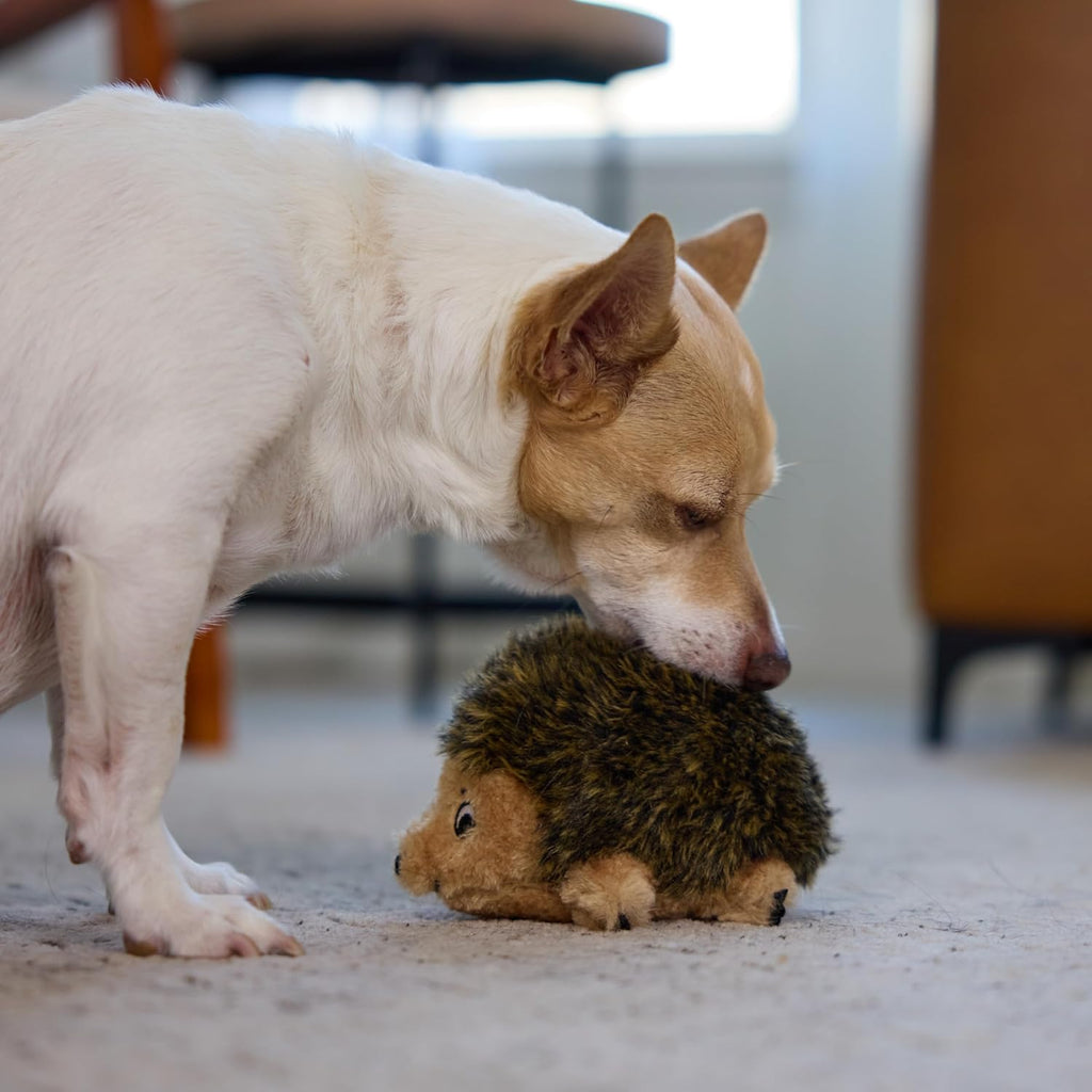 Outward Hound Hedgehogz Plush Dog Toy, Squeaks, Small, 6" x 4.5" | Soft Realistic Faux Fur, Round for Rolling & Chasing, Cuddle & Carry, Interactive Fetch, Light Chewers, Dogs & Puppies