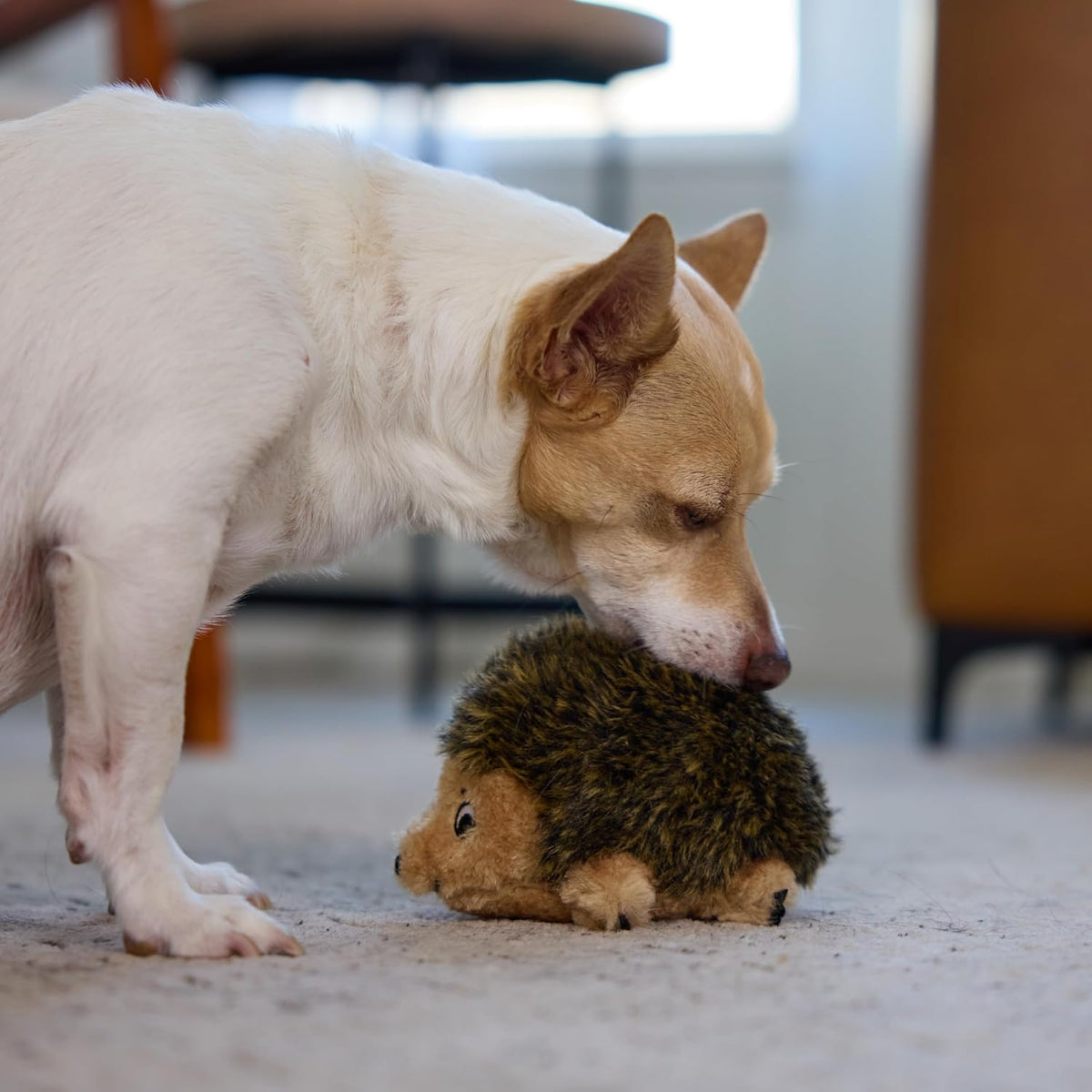 Outward Hound Hedgehogz Plush Dog Toy, Squeaks, Small, 6" x 4.5" | Soft Realistic Faux Fur, Round for Rolling & Chasing, Cuddle & Carry, Interactive Fetch, Light Chewers, Dogs & Puppies