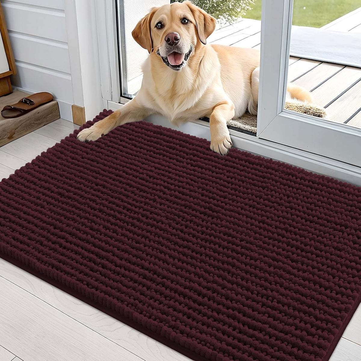 OLANLY Dog Door Mat for Muddy Paws 30x20, Extra Absorbent Chenille Mud Mat