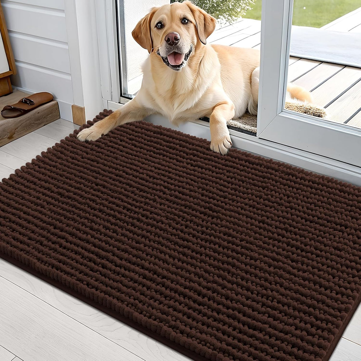 OLANLY Dog Door Mat for Muddy Paws 30x20, Extra Absorbent Chenille Mud Mat