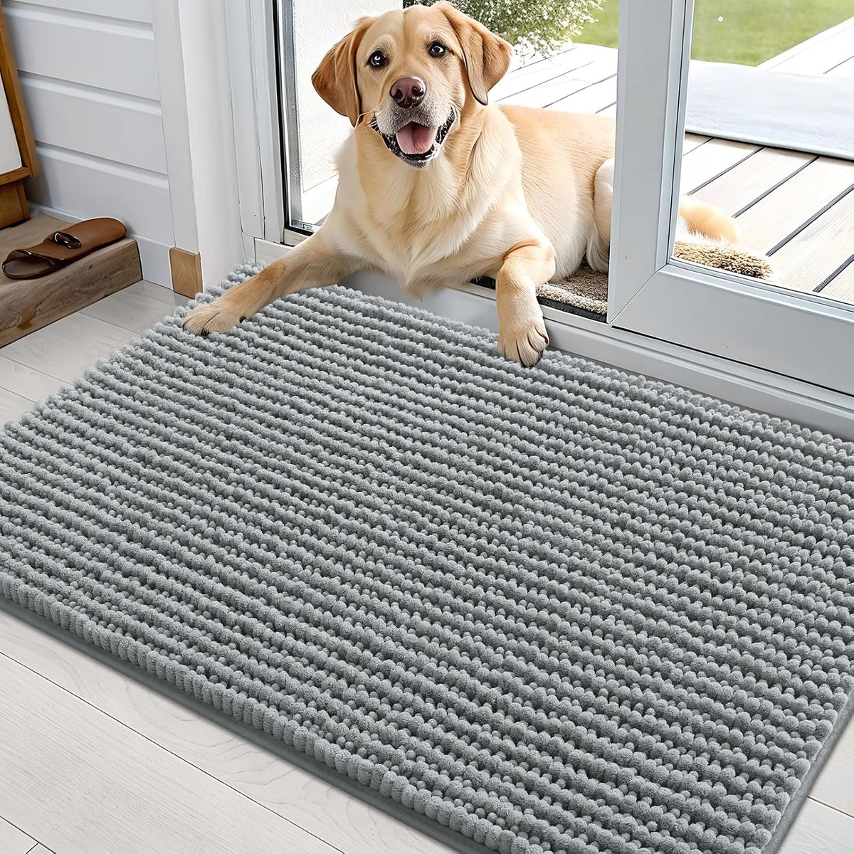 OLANLY Dog Door Mat for Muddy Paws 30x20, Extra Absorbent Chenille Mud Mat