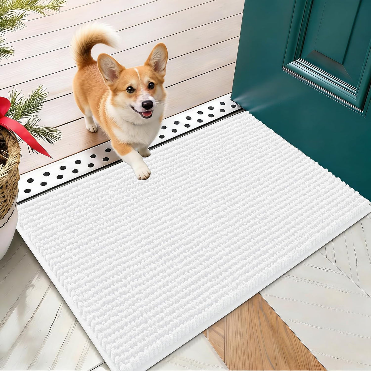 OLANLY Dog Door Mat for Muddy Paws 30x20, Extra Absorbent Chenille Mud Mat