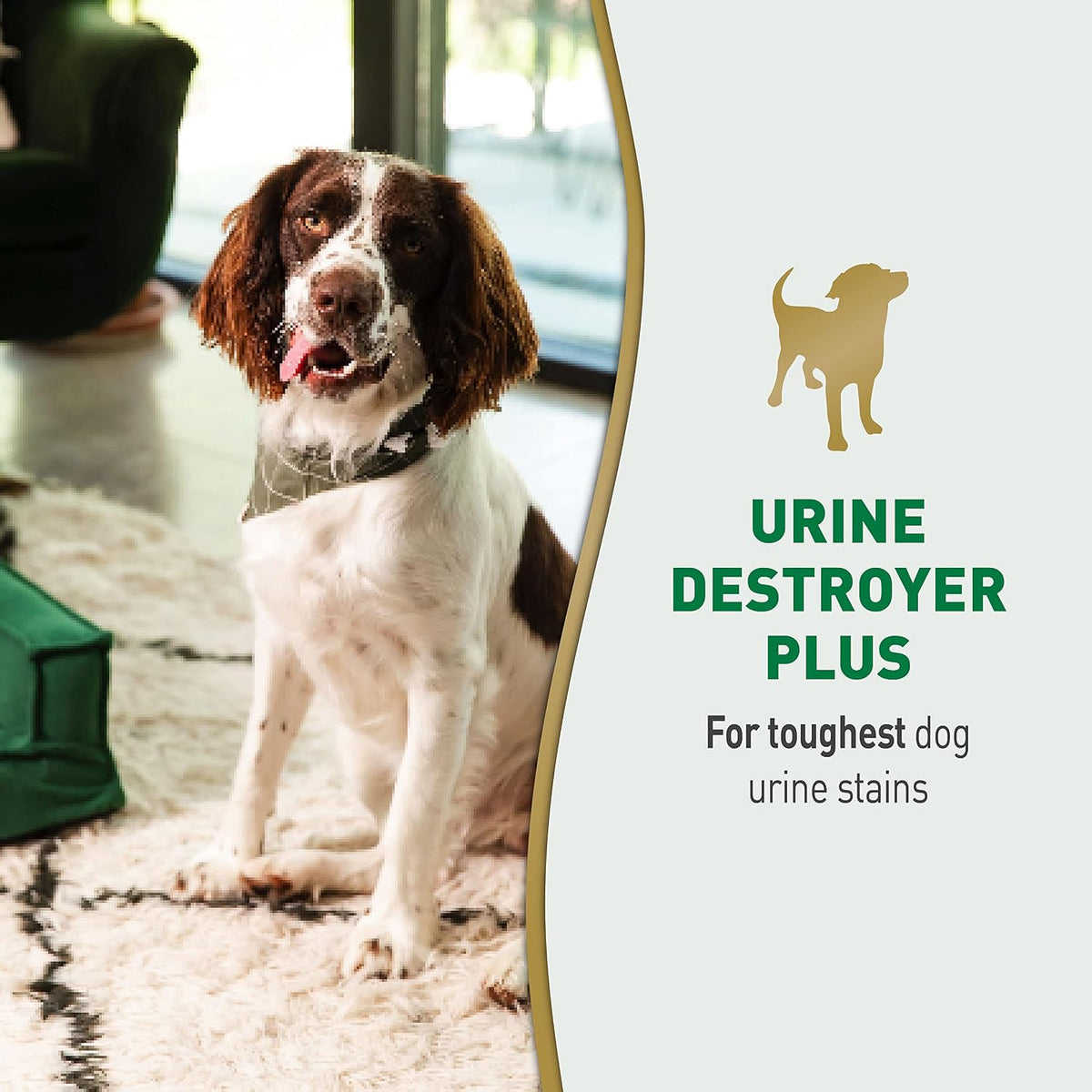 Nature's Miracle Dog Urine Destroyer Plus, Enzymatic Cleaner, 32 oz | Destroys the Toughest Dog Urine Stains, For Use on Multiple Surfaces, Safe For Pets and Home*, Fresh Scent