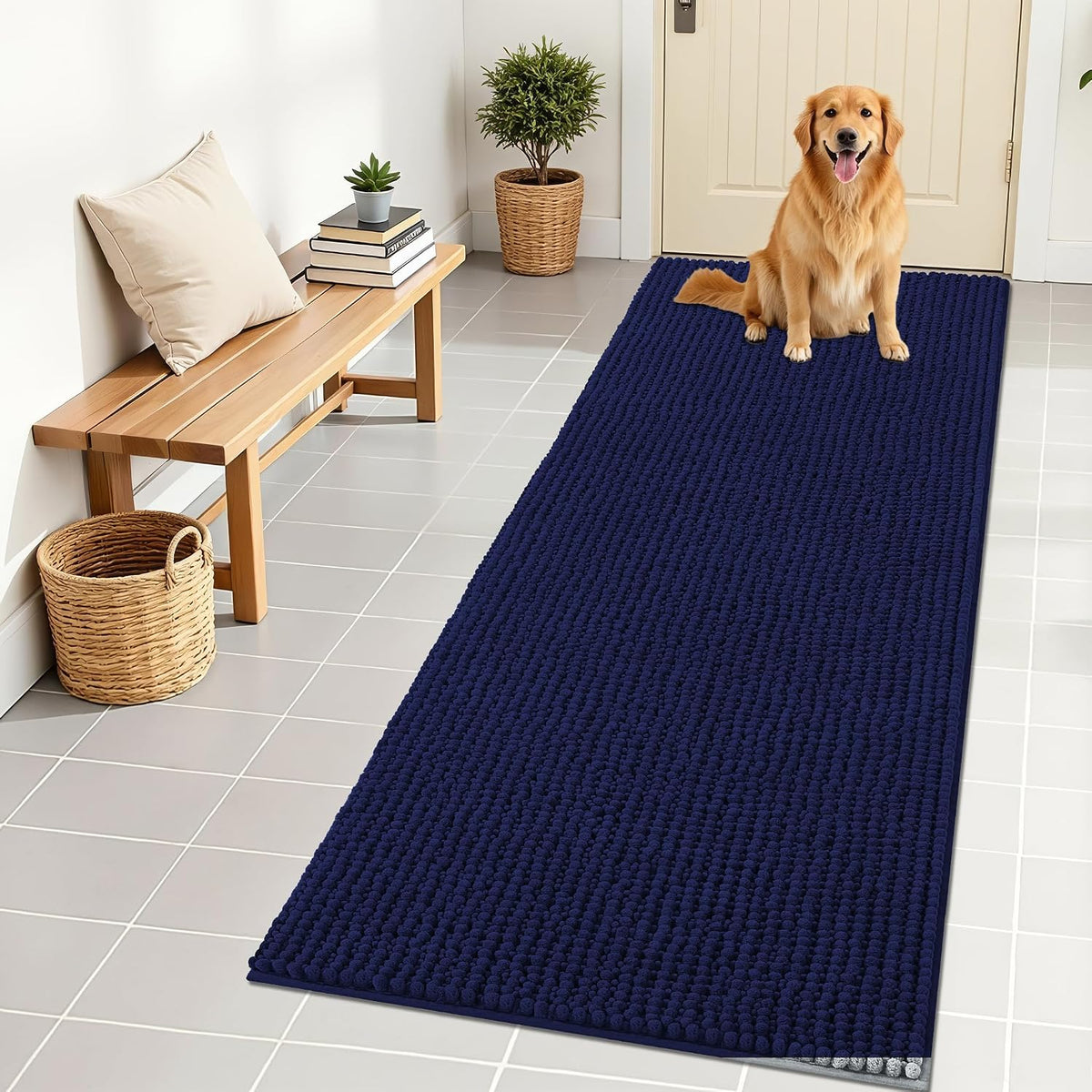 OLANLY Dog Door Mat for Muddy Paws 30x20, Extra Absorbent Chenille Mud Mat