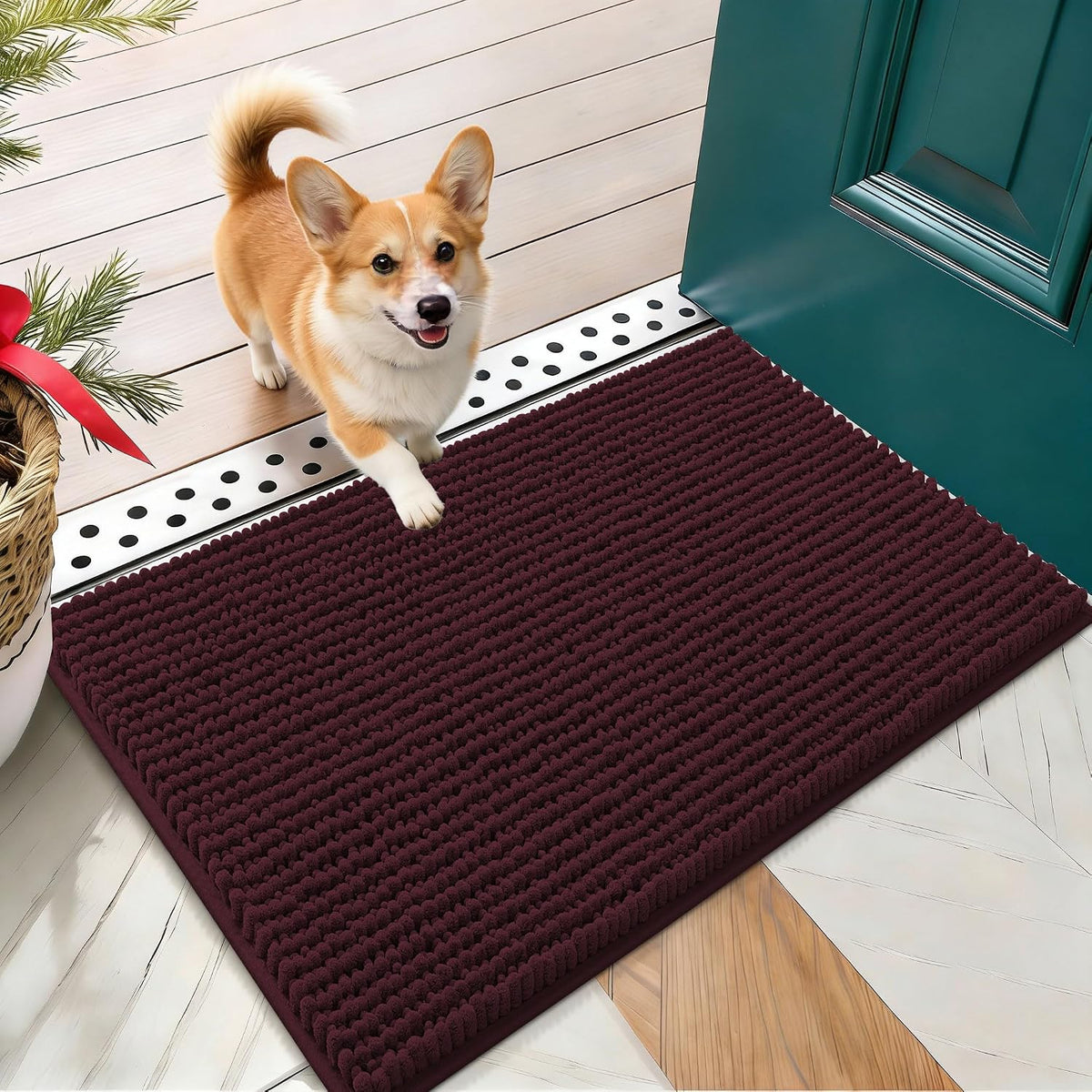 OLANLY Dog Door Mat for Muddy Paws 30x20, Extra Absorbent Chenille Mud Mat