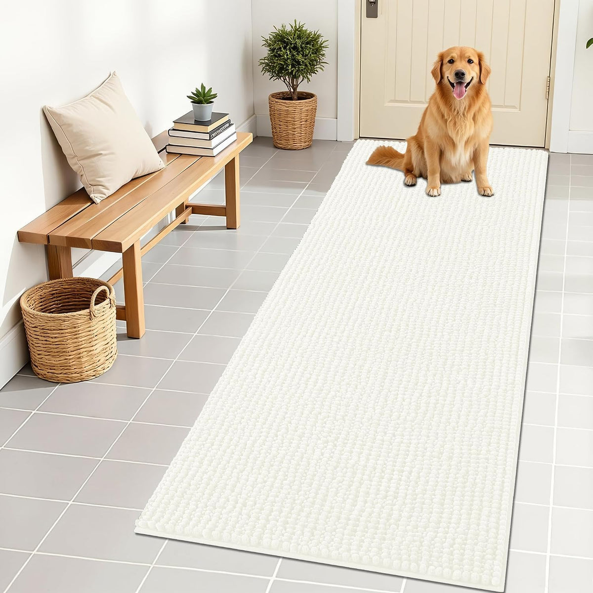 OLANLY Dog Door Mat for Muddy Paws 30x20, Extra Absorbent Chenille Mud Mat