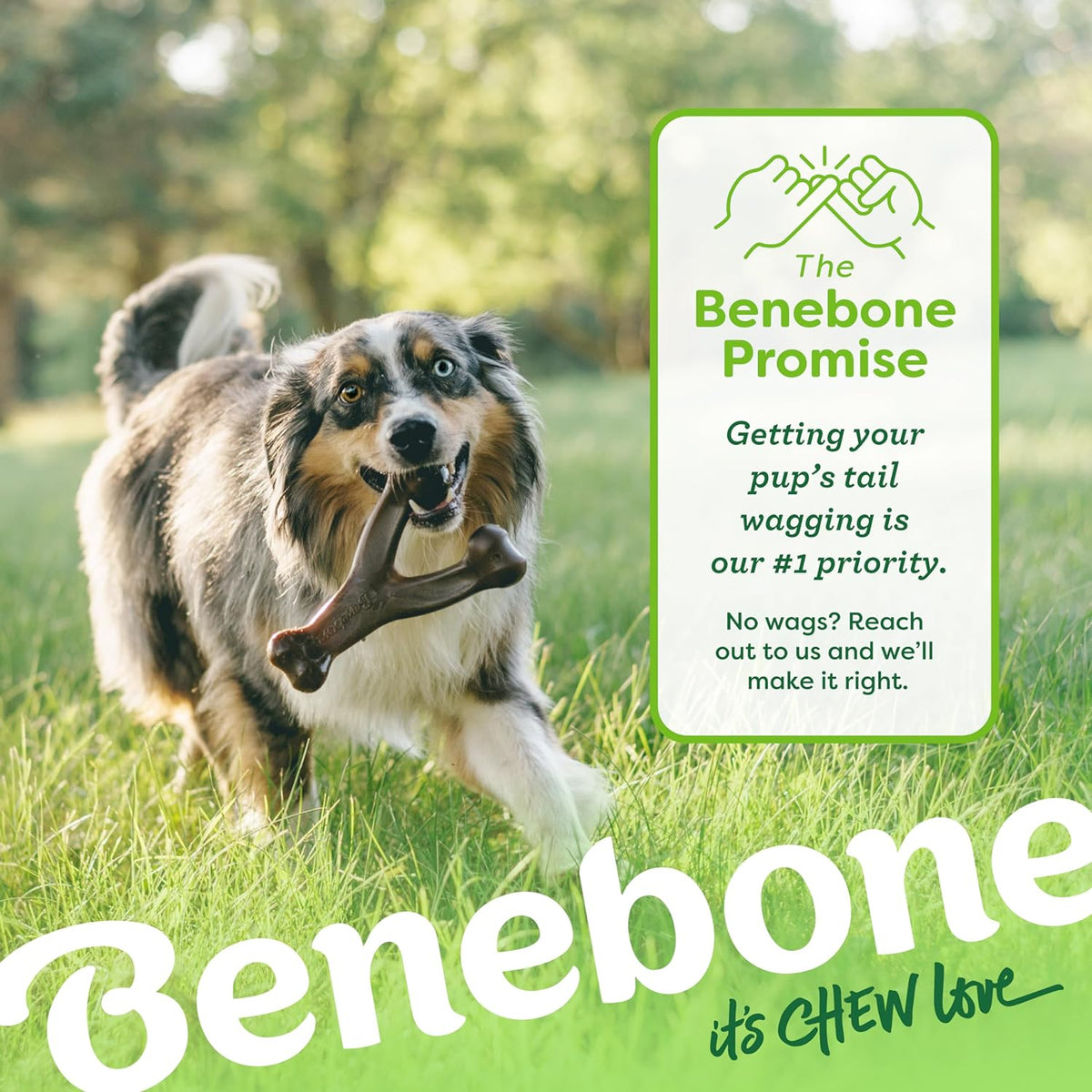 Benebone Wishbone Durable Dog Chew Toy for Aggressive Chewers, Real Bacon, Made in USA, Medium | Durable, Super Chewer, Made in USA, Dog Bones, Long-Lasting, A Size for Every Dog, Keeps Them Busy