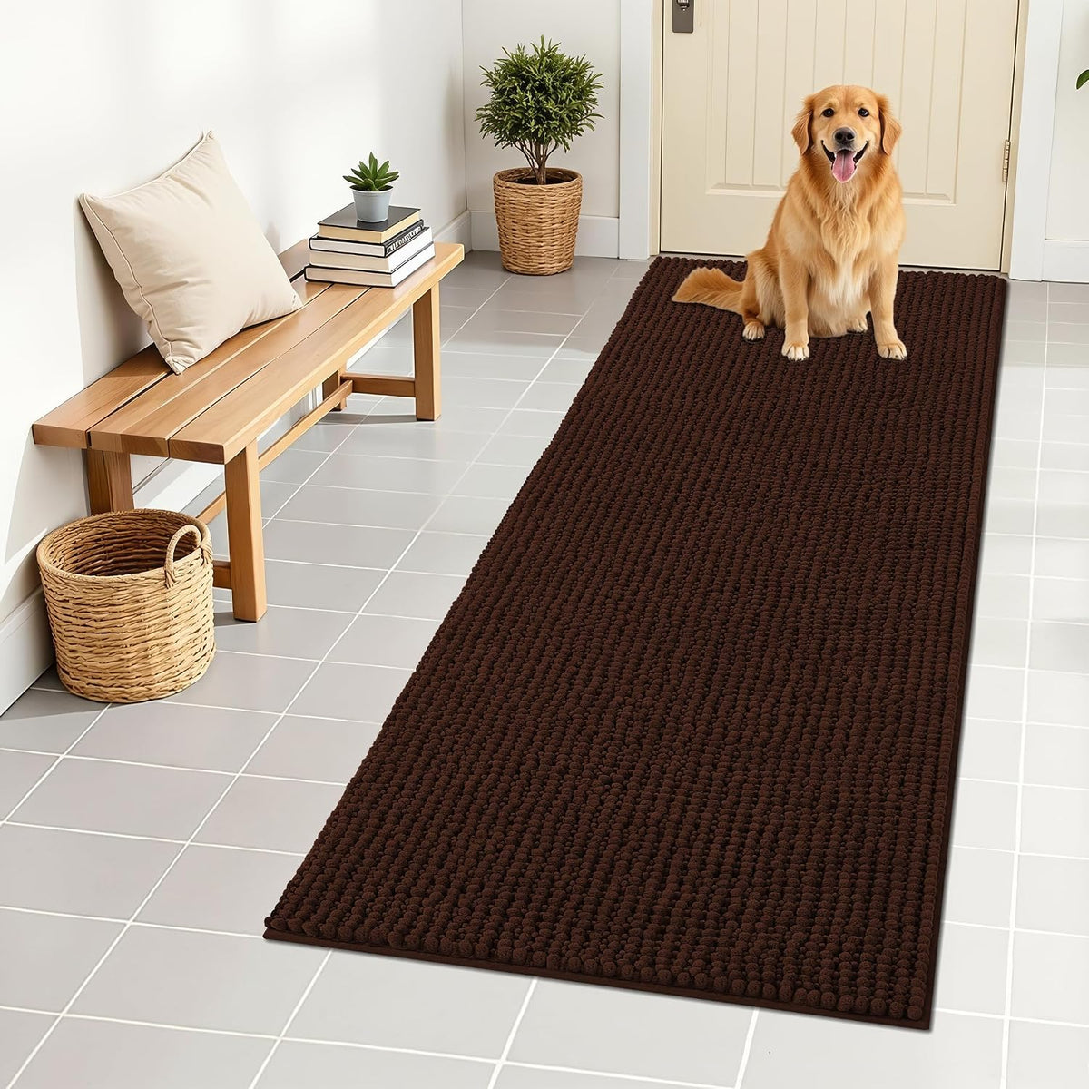 OLANLY Dog Door Mat for Muddy Paws 30x20, Extra Absorbent Chenille Mud Mat