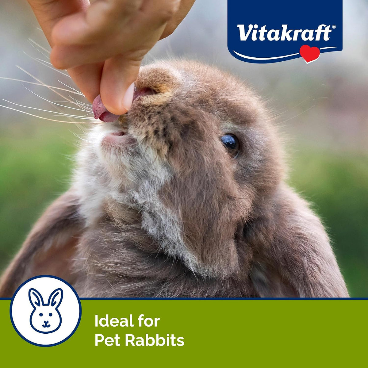 Vitakraft Drops Rabbit Treats with Wildberry Flavor – 5.3 oz Delicious Yogurt-Based Snacks for Rabbits, Guinea pigs, Hamsters, Gerbils, Mice, Rats, Chinchillas, and other Small Animals.