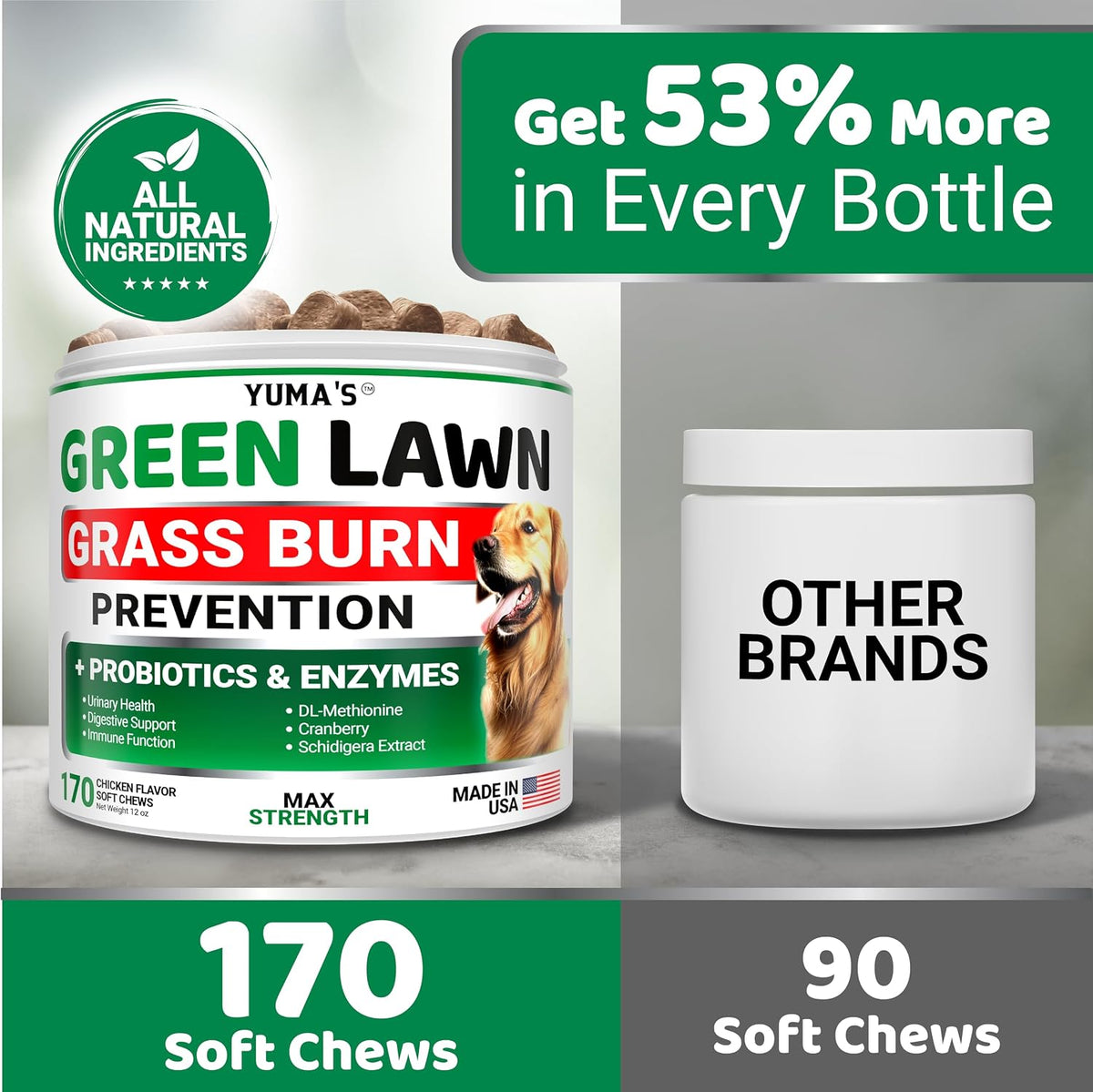 Dog Urine Neutralizer for Lawn - 170 Chews - Grass Green Saver Supplement