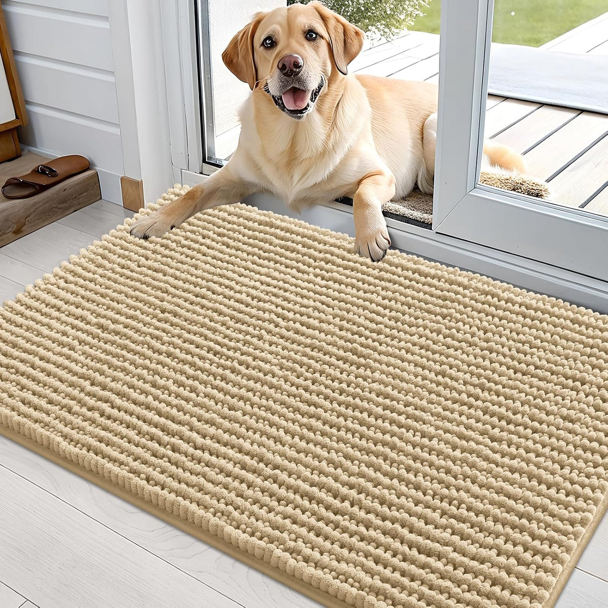 OLANLY Dog Door Mat for Muddy Paws 30x20, Extra Absorbent Chenille Mud Mat