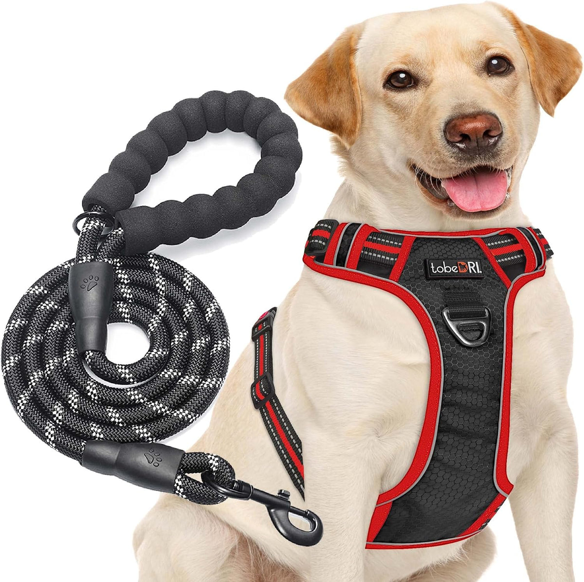 tobeDRI No Pull Dog Harness Adjustable Reflective Oxford Easy Control Medium Large Dog Harness with A Free Heavy Duty 5ft Dog Leash, Blue, L